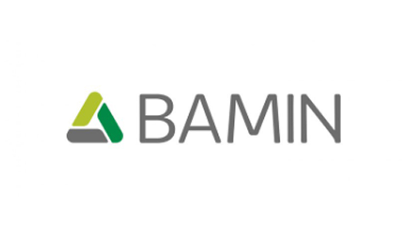 Bamin